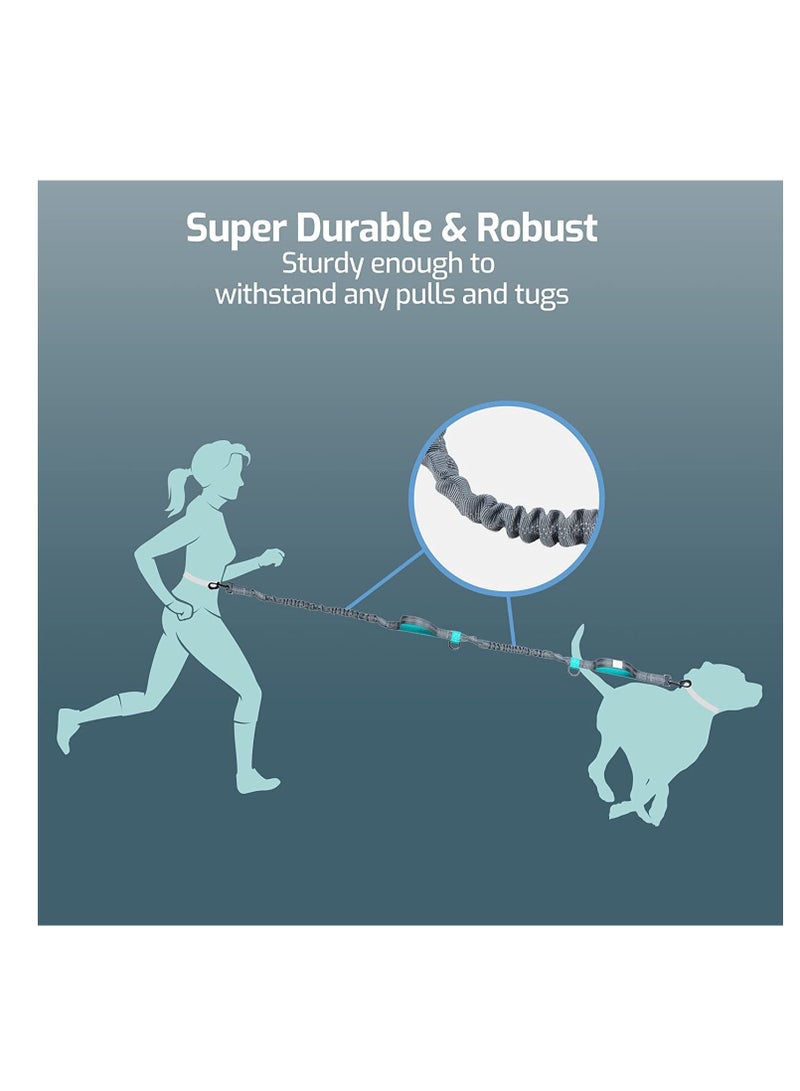 مقود للكلاب، مقود للكلاب قابل للسحب بدون استخدام اليدين مع حزام خصر قابل للتعديل للكلاب المتوسطة والكبيرة، ومقابض مبطنة مزدوجة، وحبل مطاطي قابل للسحب، وغرز عاكسة للمشي لمسافات طويلة والجري وركوب الدراجات - Image 2